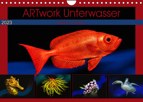 Artwork Unterwasser – Erlebnis Tauchen (Wandkalender 2023 DIN A4 quer) von Gödecke,  Dieter