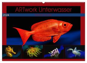 Artwork Unterwasser – Erlebnis Tauchen (Wandkalender 2024 DIN A2 quer), CALVENDO Monatskalender von Gödecke,  Dieter