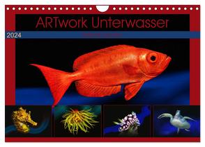 Artwork Unterwasser – Erlebnis Tauchen (Wandkalender 2024 DIN A4 quer), CALVENDO Monatskalender von Gödecke,  Dieter