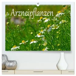 Arzneipflanzen (hochwertiger Premium Wandkalender 2024 DIN A2 quer), Kunstdruck in Hochglanz von LianeM,  LianeM