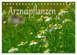 Arzneipflanzen (Tischkalender 2024 DIN A5 quer), CALVENDO Monatskalender von LianeM,  LianeM