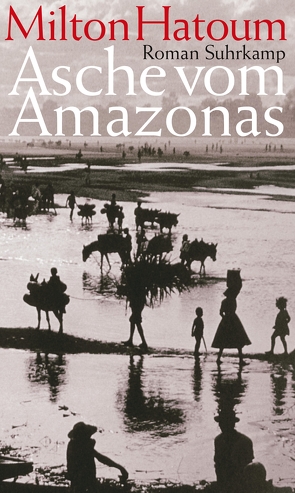 Asche vom Amazonas von Hatoum,  Milton, Schweder-Schreiner,  Karin von