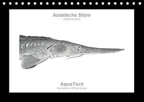 Asiatische Störe (Acipenseridae): Fisch als Kunst (Tischkalender immerwährend DIN A5 quer) von Vecsei,  Paul