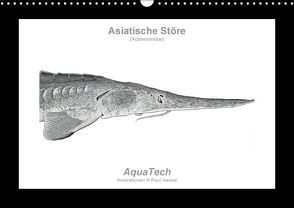 Asiatische Störe (Acipenseridae): Fisch als Kunst (Wandkalender immerwährend DIN A3 quer) von Vecsei,  Paul