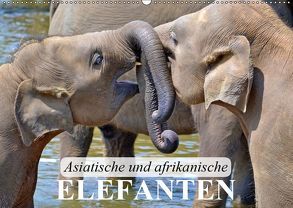 Asiatische und afrikanische Elefanten (Wandkalender 2019 DIN A2 quer) von Stanzer,  Elisabeth