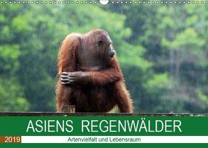 ASIENS REGENWÄLDER Artenvielfalt und Lebensraum (Wandkalender 2019 DIN A3 quer) von Gärtner,  Oliver