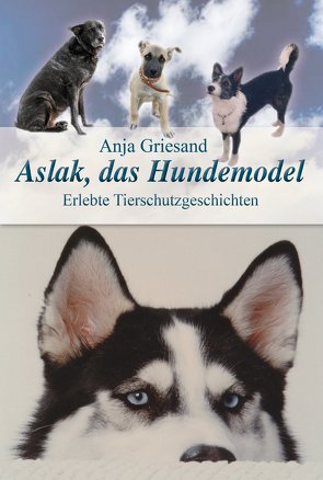 Aslak, das Hundemodel von Griesand,  Anja