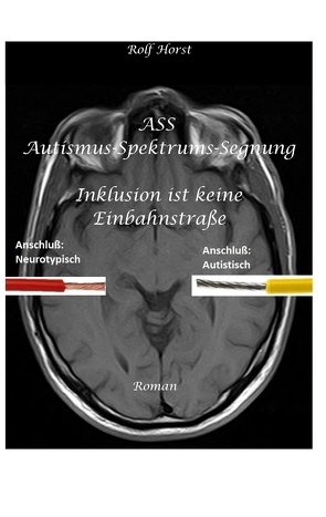 ASS Autismus-Spektrums-Segnung – Asperger-Syndrom, Sucht, Alkoholismus, Spiritualität, Buddhismus von Horst,  Rolf