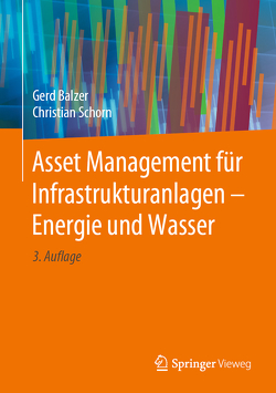 Asset Management für Infrastrukturanlagen – Energie und Wasser von Balzer,  Gerd, Schorn,  Christian