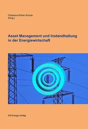 Asset Management und Instandhaltung in der Energiewirtschaft von Köhler-Schute,  Christiana