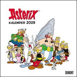 Asterix 2019 – Wandkalender im Quadratformat 24 x 24 cm von DUMONT Kalenderverlag, Uderzo,  Albert