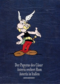 Asterix Gesamtausgabe 14 von Conrad,  Didier, Ferri,  Jean-Yves, Goscinny,  René, Jöken,  Klaus, Uderzo,  Albert