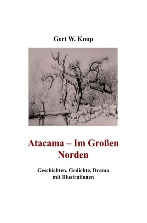 Atacama – Im Großen Norden von Knop,  Gert W.