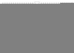 Atelerix – Afrikanische Weißbauchigel (Wandkalender 2024 DIN A4 quer), CALVENDO Monatskalender von Zimmermann,  Marina