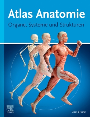 Atlas Anatomie für Laien von Elsevier GmbH