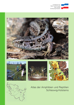 Atlas der Amphibien und Reptilien Schleswig-Holsteins von Klinge,  Andreas, Winkler,  Christian
