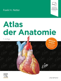 Atlas der Anatomie von Hammer,  Christian M., Netter,  Frank H.