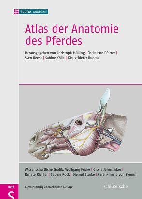 Atlas der Anatomie des Pferdes von BUDRAS ANATOMIE