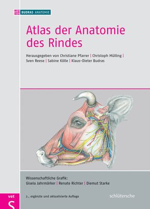 Atlas der Anatomie des Rindes von Budras,  Klaus-Dieter, Wünsche,  Anita