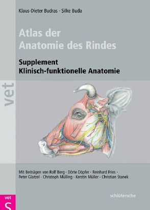 Atlas der Anatomie des Rindes von Buda,  Dr. Silke, Budras,  Klaus-Dieter