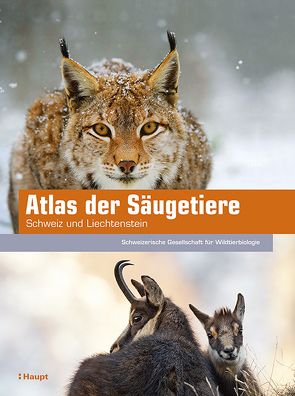 Atlas der Säugetiere – Schweiz und Liechtenstein von Fischer,  Claude, Graf,  Roland, Niehaus,  Monika