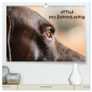 Attila, Der Hundekönig (hochwertiger Premium Wandkalender 2024 DIN A2 quer), Kunstdruck in Hochglanz von Hultsch,  Heike
