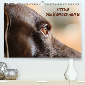 Attila, Der Hundekönig (Premium, hochwertiger DIN A2 Wandkalender 2023, Kunstdruck in Hochglanz) von Hultsch,  Heike
