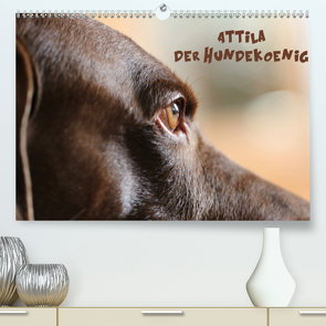 Attila, Der Hundekönig (Premium, hochwertiger DIN A2 Wandkalender 2020, Kunstdruck in Hochglanz) von Hultsch,  Heike