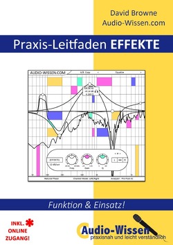 Audio-Wissen / Praxis-Leitfaden EFFEKTE von Browne,  David