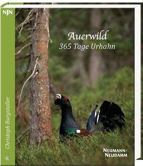 Auerwild – 365 Tage Urhahn von Burgstaller,  Christoph