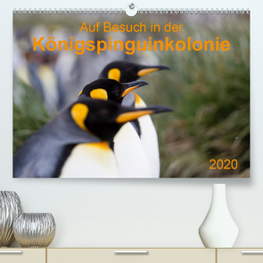 Auf Besuch in der Königspinguinkolonie (Premium, hochwertiger DIN A2 Wandkalender 2020, Kunstdruck in Hochglanz) von Utelli,  Anna-Barbara