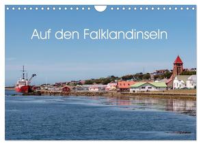 Auf den Falklandinseln (Wandkalender 2024 DIN A4 quer), CALVENDO Monatskalender von Schön,  Berlin,  Andreas