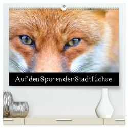 Auf den Spuren der Stadtfüchse (hochwertiger Premium Wandkalender 2024 DIN A2 quer), Kunstdruck in Hochglanz von Krämer,  Antonia