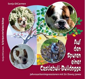 Auf den Spuren einer Castlebull-Bulldogge von DiCarmen,  Sonju