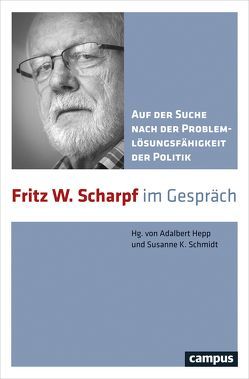 Auf der Suche nach der Problemlösungsfähigkeit der Politik von Hepp,  Adalbert, Schmidt,  Susanne K.