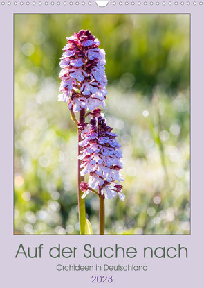 Auf der Suche nach Orchideen in Deutschland (Wandkalender 2023 DIN A3 hoch) von Webeler,  Janita