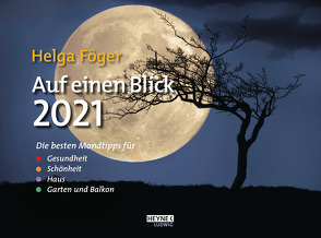Auf einen Blick 2021 von Föger,  Helga
