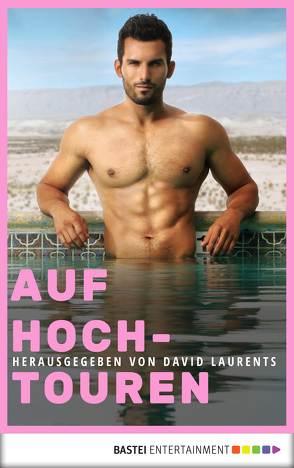 Auf Hochtouren von Andros,  Phil, Eighner,  Lars, Forster,  Phil, Lassell,  Michael, Laurents,  David, Mann,  William J., Picano,  Felice, Rettenmund,  Matthew, Robbins,  Scott, Ryder,  Luke, Stone,  Kyle, Thomas,  R S, Travis,  Aaron, Trent,  Robert