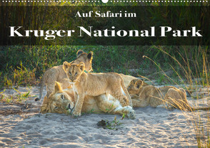 Auf Safari im Kruger National Park (Wandkalender 2023 DIN A2 quer) von Henting,  Stephan