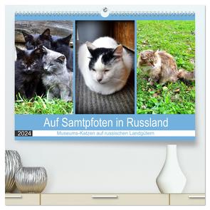 Auf Samtpfoten in Russland – Museums-Katzen auf russischen Landgütern (hochwertiger Premium Wandkalender 2024 DIN A2 quer), Kunstdruck in Hochglanz von von Loewis of Menar,  Henning