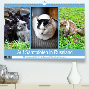 Auf Samtpfoten in Russland – Museums-Katzen auf russischen Landgütern (Premium, hochwertiger DIN A2 Wandkalender 2023, Kunstdruck in Hochglanz) von von Loewis of Menar,  Henning