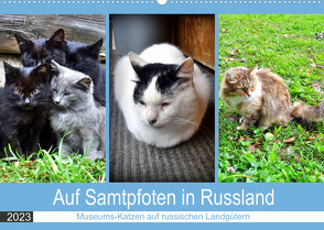 Auf Samtpfoten in Russland – Museums-Katzen auf russischen Landgütern (Wandkalender 2023 DIN A2 quer) von von Loewis of Menar,  Henning