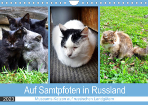 Auf Samtpfoten in Russland – Museums-Katzen auf russischen Landgütern (Wandkalender 2023 DIN A4 quer) von von Loewis of Menar,  Henning