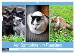 Auf Samtpfoten in Russland – Museums-Katzen auf russischen Landgütern (Wandkalender 2024 DIN A2 quer), CALVENDO Monatskalender von von Loewis of Menar,  Henning