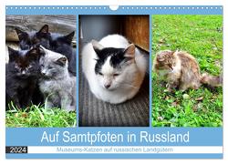 Auf Samtpfoten in Russland – Museums-Katzen auf russischen Landgütern (Wandkalender 2024 DIN A3 quer), CALVENDO Monatskalender von von Loewis of Menar,  Henning