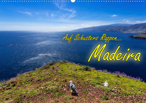 Auf Schusters Rappen… Madeira (Wandkalender 2020 DIN A2 quer) von Sobottka,  Joerg
