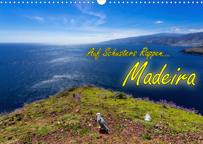 Auf Schusters Rappen… Madeira (Wandkalender 2020 DIN A3 quer) von Sobottka,  Joerg