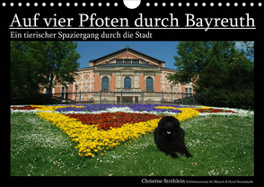 Auf vier Pfoten durch Bayreuth (Wandkalender 2021 DIN A4 quer) von Ströhlein,  Christine