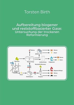 Aufbereitung biogener und reststoffbasierter Gase: Untersuchung der trockenen Reformierung von Birth,  Torsten