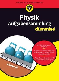 Aufgabensammlung Physik für Dummies von Schwaibold,  Tobias